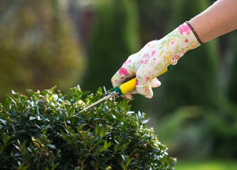 Gardener inspecting a residential garden, close-up of plants and tools
